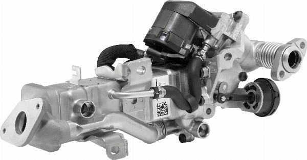 BorgWarner 792001D - Radiateur, réaspiration des gaz d'échappement droxauto.com