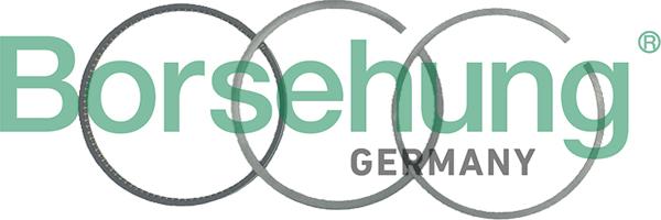 Borsehung B19049 - Jeu de segments de pistons droxauto.com