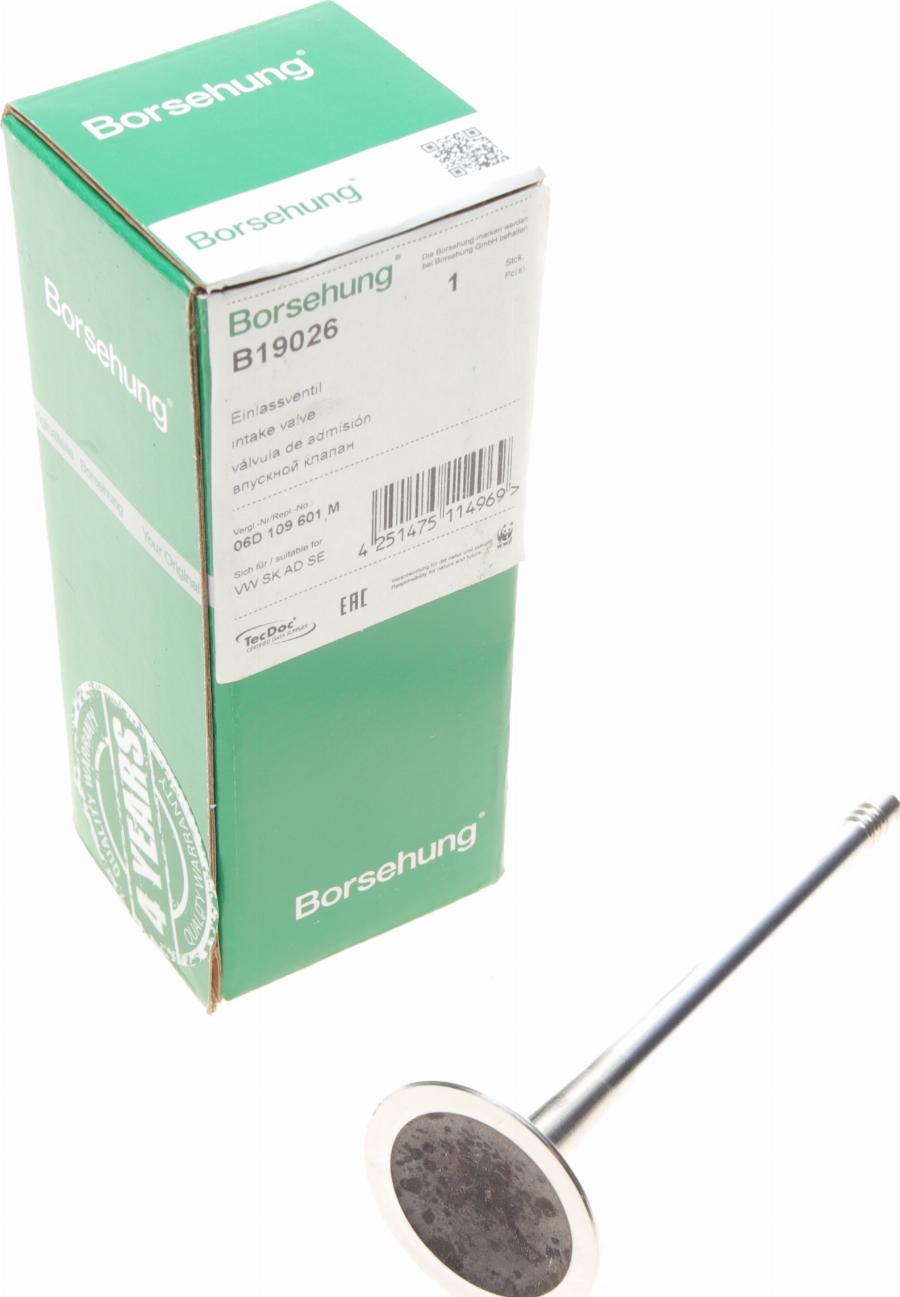 Borsehung B19026 - Soupape d'admission droxauto.com