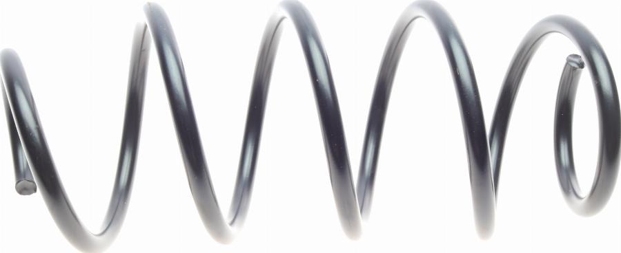 Borsehung B19305 - Ressort de suspension droxauto.com