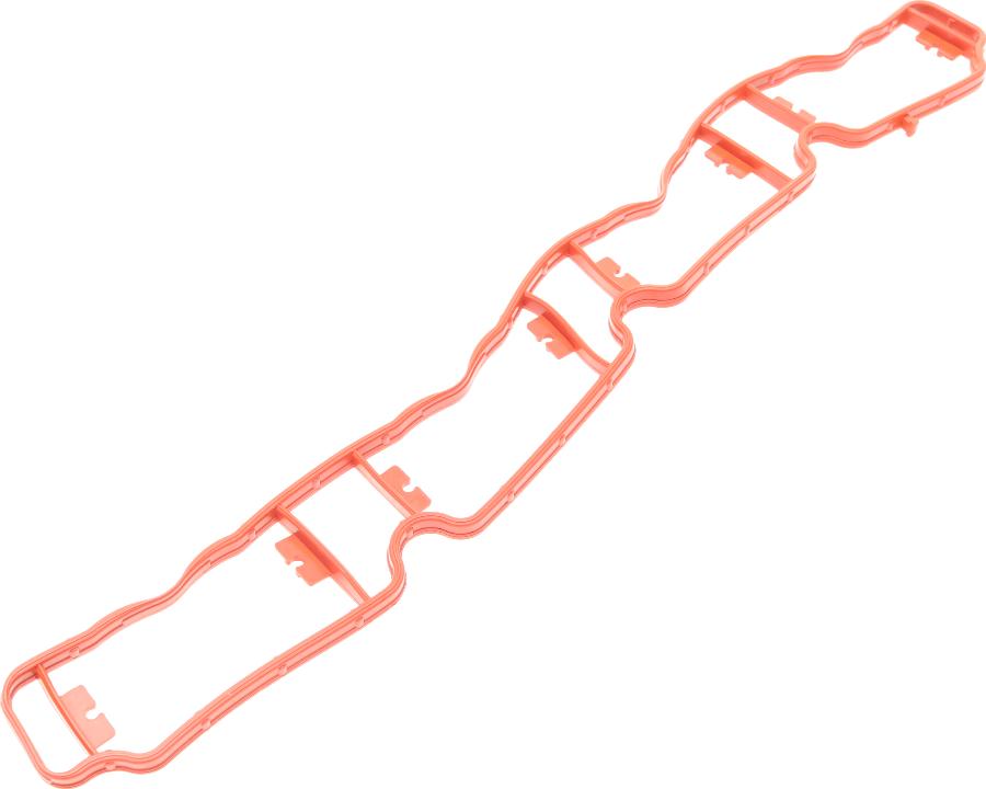 Borsehung B19250 - Joint d'étanchéité, collecteur d'admission droxauto.com