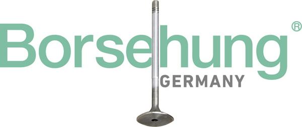 Borsehung B10345 - Jeu de segments de pistons droxauto.com