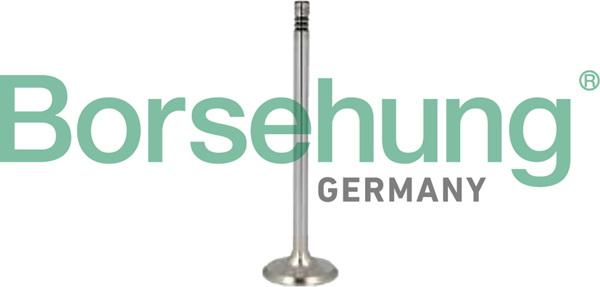 Borsehung B10346 - Jeu de segments de pistons droxauto.com