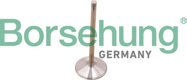 Borsehung B10348 - Jeu de segments de pistons droxauto.com