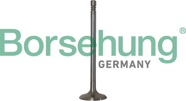 Borsehung B10347 - Jeu de segments de pistons droxauto.com