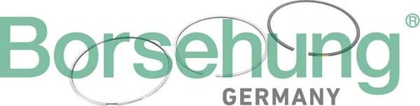 Borsehung B10368 - Jeu de segments de pistons droxauto.com