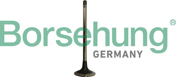 Borsehung B10333 - Soupape d'émission droxauto.com