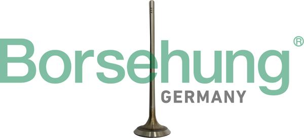 Borsehung B10332 - Soupape d'admission droxauto.com