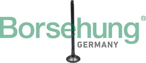 Borsehung B10324 - Soupape d'émission droxauto.com