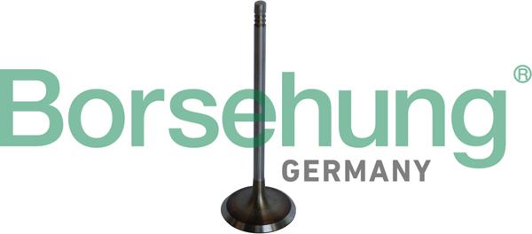Borsehung B10325 - Soupape d'admission droxauto.com