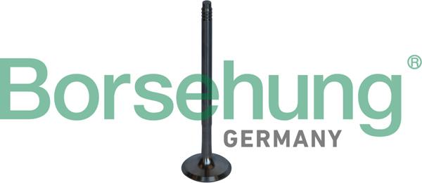Borsehung B10326 - Soupape d'émission droxauto.com