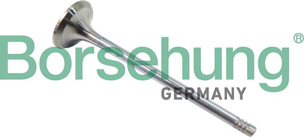 Borsehung B10321 - Soupape d'émission droxauto.com