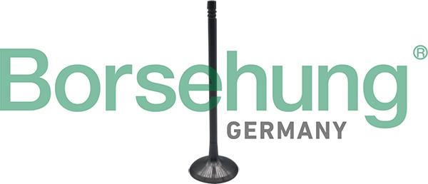 Borsehung B10323 - Soupape d'admission droxauto.com