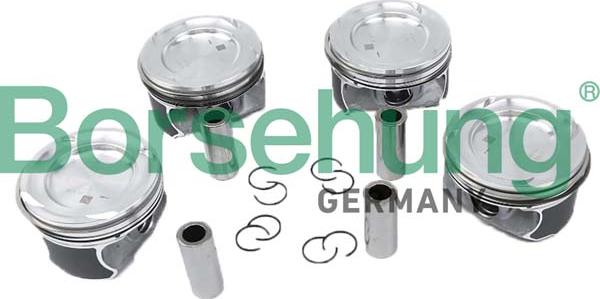 Borsehung B11149 - Jeu de segments de pistons droxauto.com