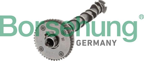Borsehung B11319 - Arbre à came droxauto.com