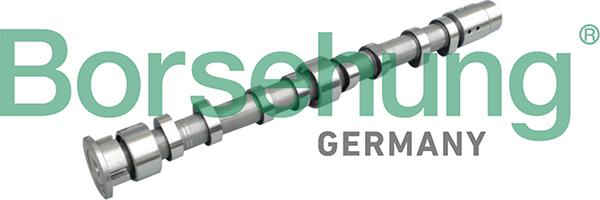 Borsehung B11313 - Arbre à came droxauto.com