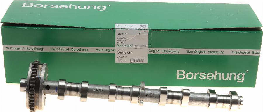Borsehung B18979 - Arbre à came droxauto.com