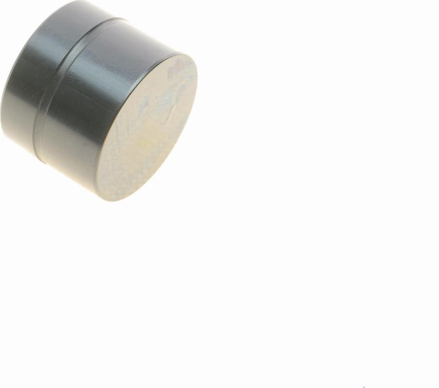 Borsehung B18838 - Poussoir de soupape droxauto.com