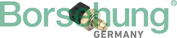Borsehung B18287 - Sonde de température, liquide de refroidissement droxauto.com