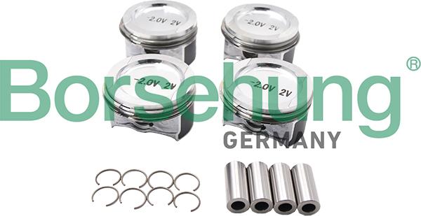 Borsehung B13581 - Jeu de segments de pistons droxauto.com