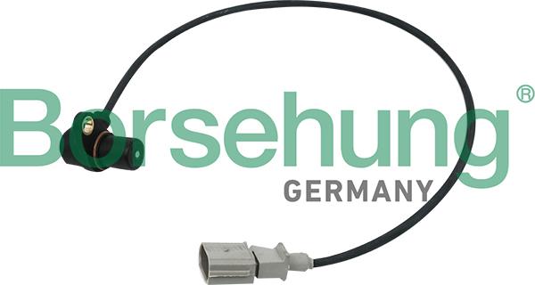 Borsehung B13670 - Capteur d'angle, vilebrequin droxauto.com
