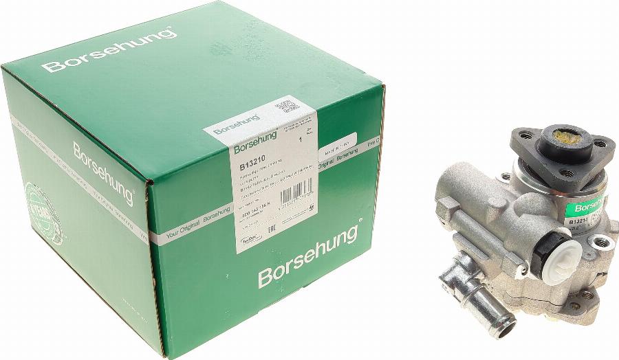 Borsehung B13210 - Pompe hydraulique, direction droxauto.com
