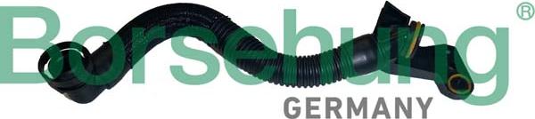 Borsehung B12435 - Tuyau, ventilation de carter-moteur droxauto.com