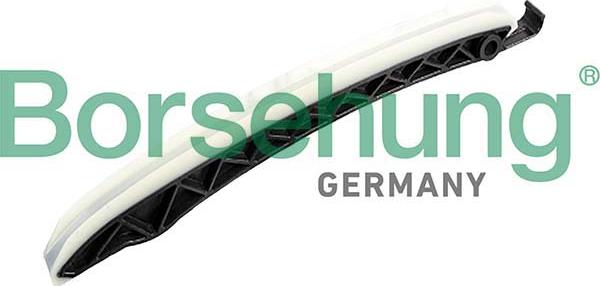 Borsehung B12598 - Coulisse, chaîne de distribution droxauto.com