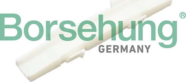 Borsehung B12597 - Coulisse, chaîne de distribution droxauto.com
