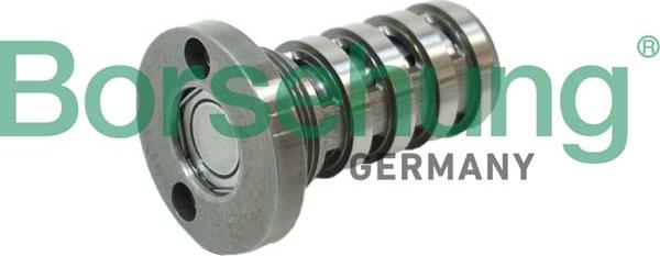 Borsehung B12123 - Soupape centrale, réglage de l'arbre à cames droxauto.com