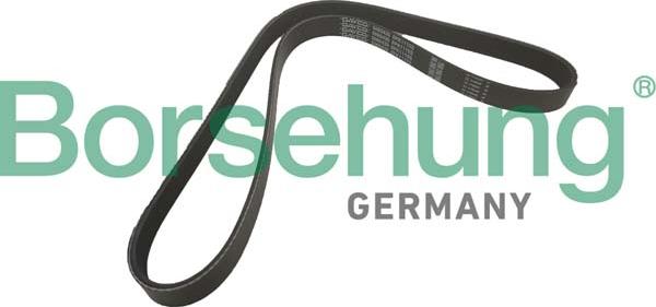 Borsehung B12356 - Tendeur de courroie, courroie trapézoïdale à nervures droxauto.com