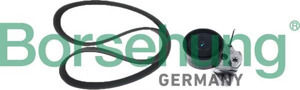 Borsehung B12361 - Kit de galets, courroie trapézoïdale à nervures droxauto.com
