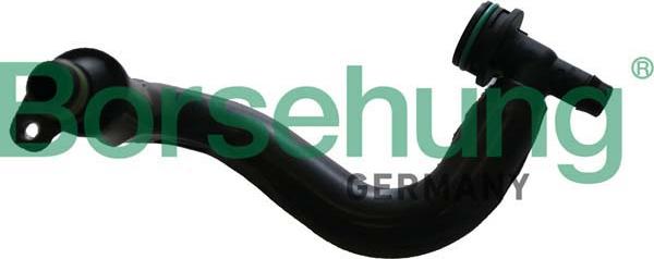 Borsehung B12306 - Tuyau, ventilation de carter-moteur droxauto.com
