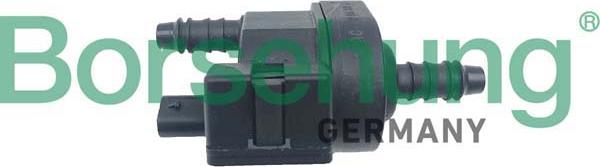 Borsehung B12315 - Soupape, filtre à charbon actif droxauto.com