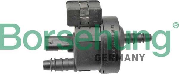 Borsehung B12316 - Soupape, filtre à charbon actif droxauto.com