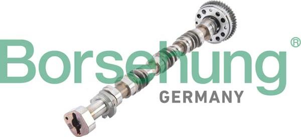 Borsehung B12380 - Arbre à came droxauto.com