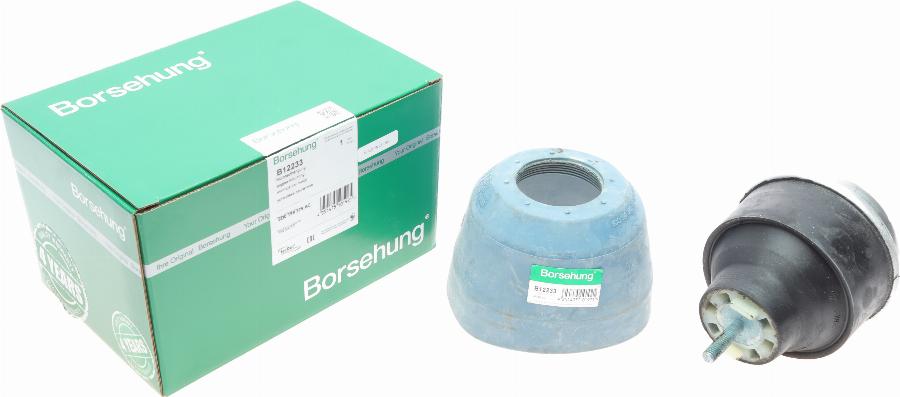 Borsehung B12233 - Support moteur droxauto.com