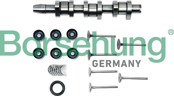 Borsehung B17130 - Kit de réparation, arbre intermédiaire droxauto.com