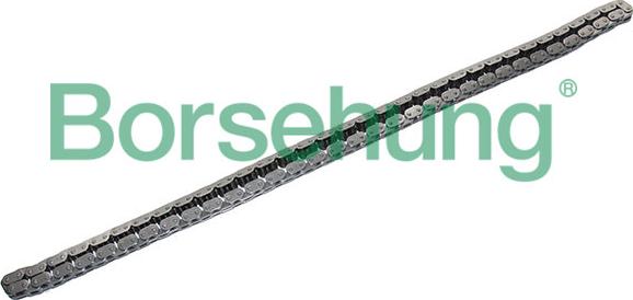 Borsehung B17877 - Chaîne de distribution droxauto.com