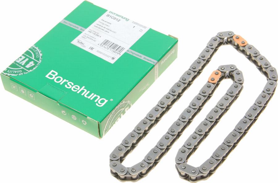 Borsehung B1C012 - Chaîne de distribution droxauto.com