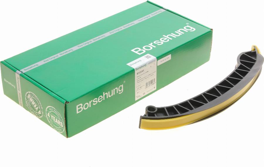Borsehung B1G041 - Coulisse, chaîne de distribution droxauto.com