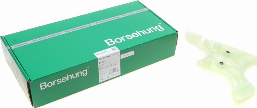 Borsehung B1G051 - Coulisse, chaîne de distribution droxauto.com