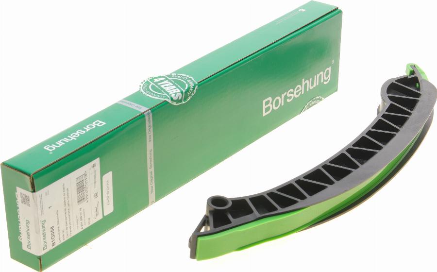 Borsehung B1G058 - Coulisse, chaîne de distribution droxauto.com