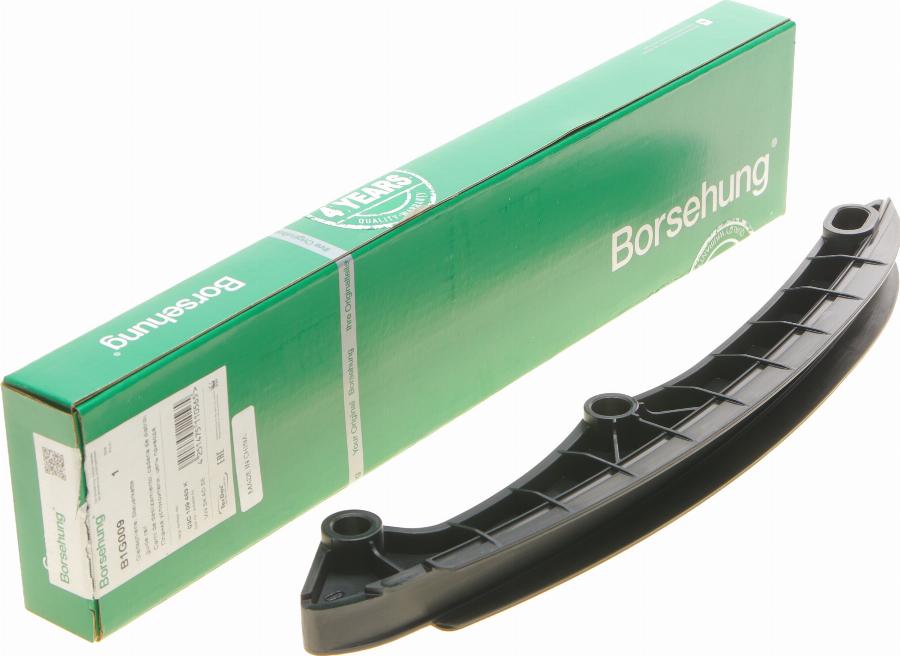 Borsehung B1G009 - Coulisse, chaîne de distribution droxauto.com