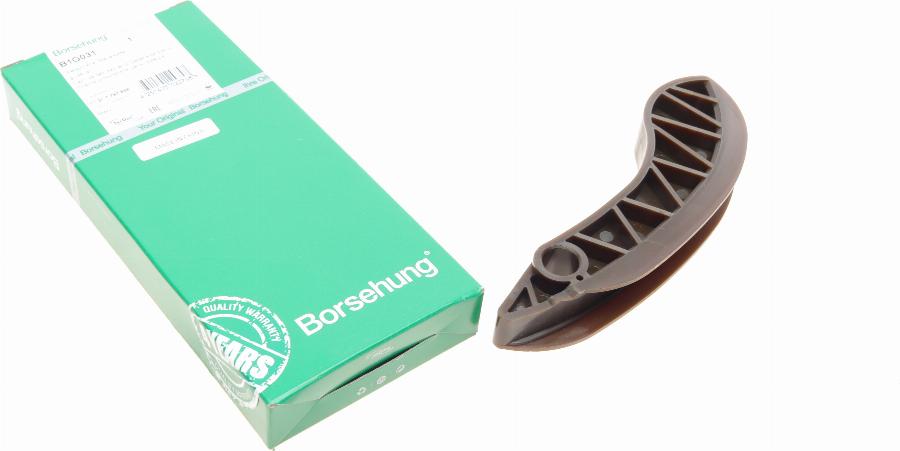 Borsehung B1G031 - Coulisse, chaîne de distribution droxauto.com
