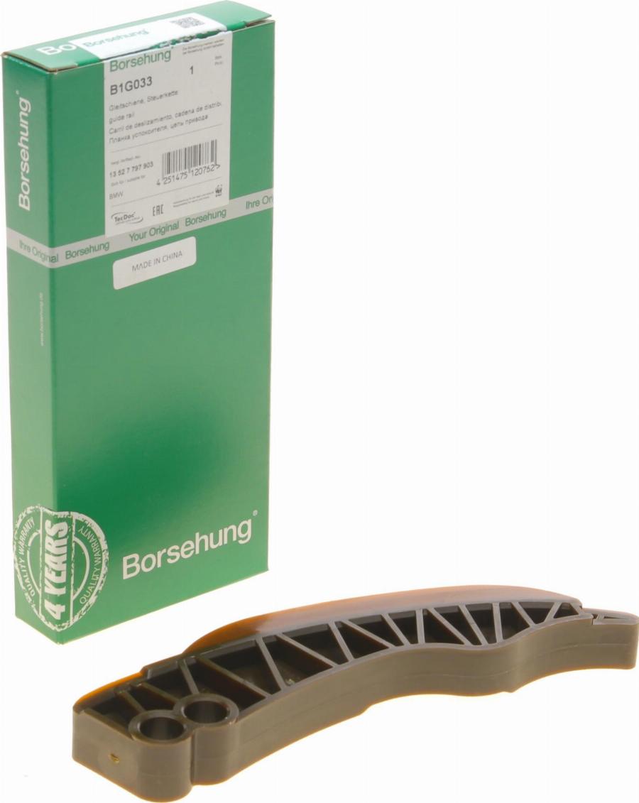 Borsehung B1G033 - Coulisse, chaîne de distribution droxauto.com