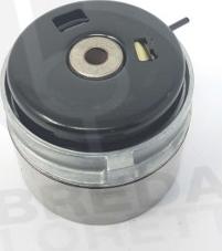 Breda Lorett TDI3687 - Poulie-tendeur, courroie de distribution droxauto.com