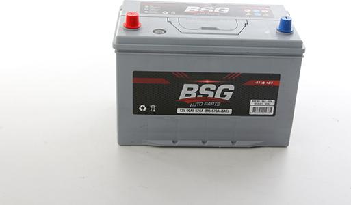 BSG BSG 99-997-029 - Batterie de démarrage droxauto.com