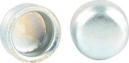 BSG BSG 40-122-010 - Bouchon de dilatation droxauto.com