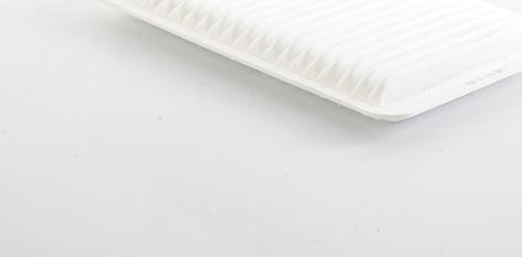 BSG BSG 55-135-005 - Filtre à air droxauto.com